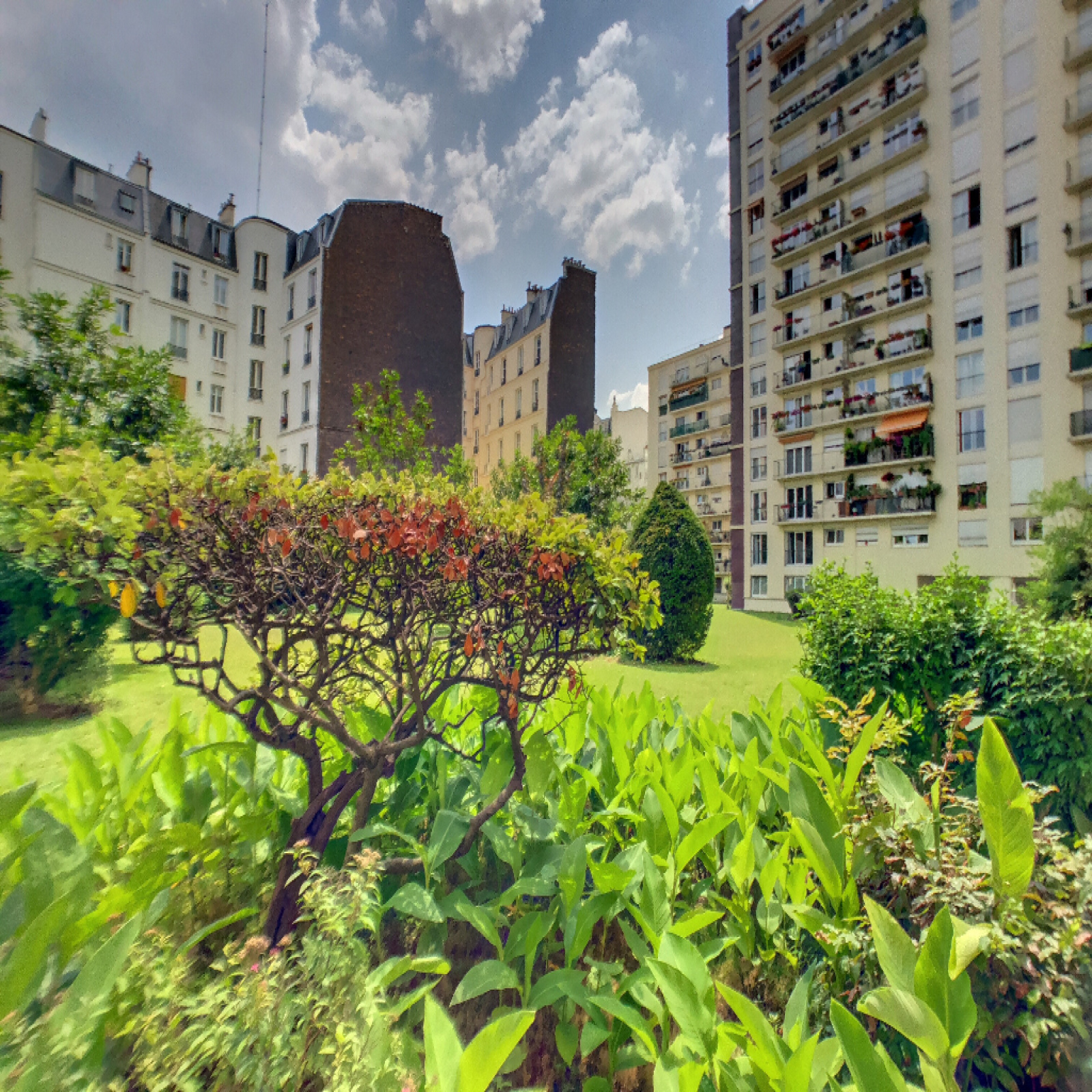 Image_, Appartement, Paris, ref :2157